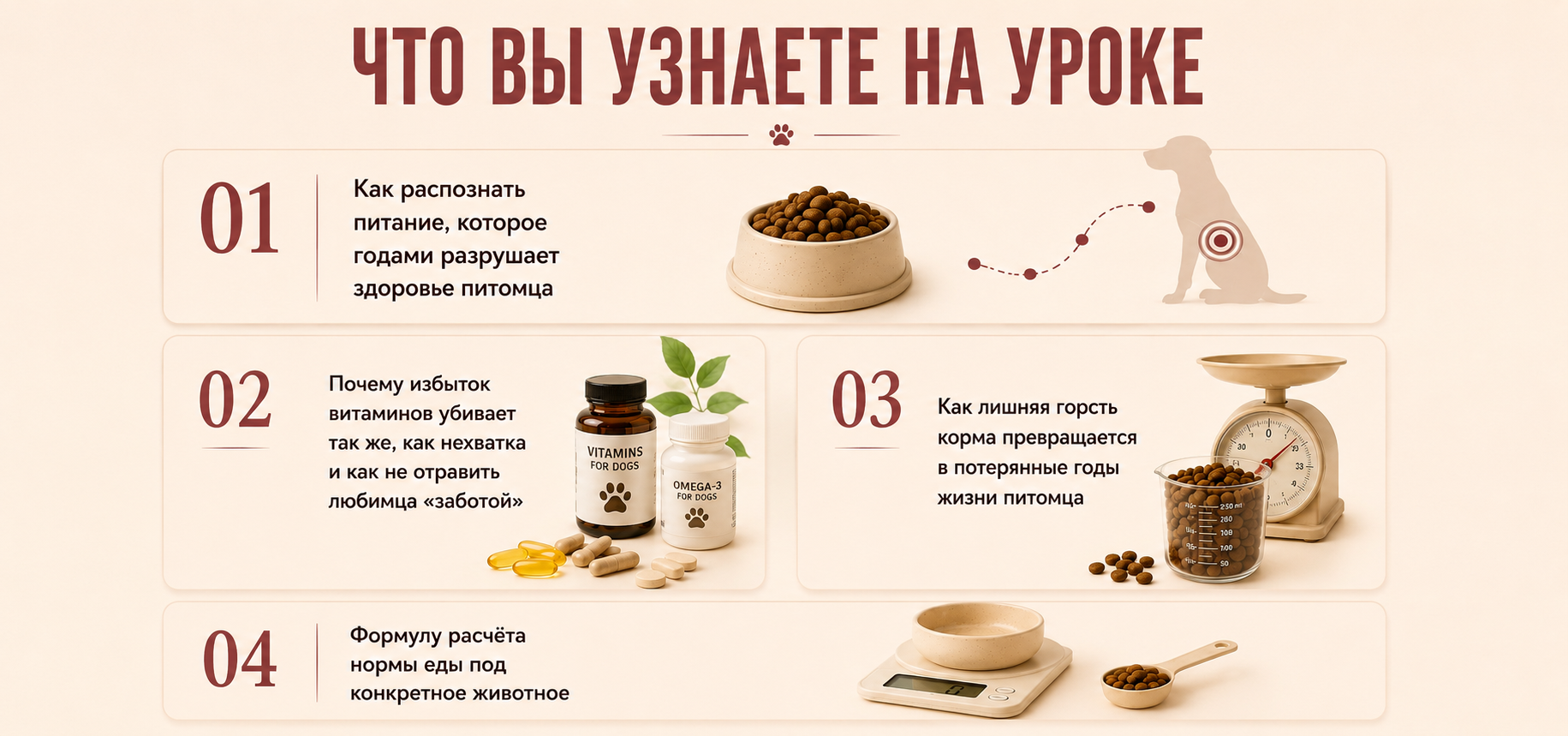 Что вы узнаете на уроке