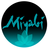 Академия Мияби - marathon.miyabi.academy