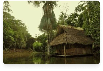 Жилище шамана