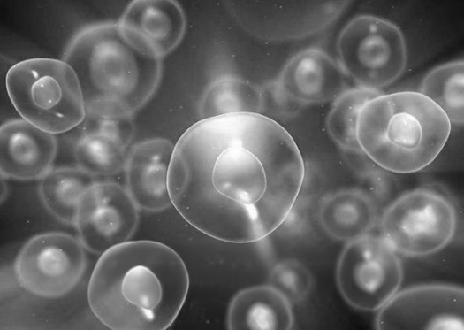 Рассеивание внимания в теле