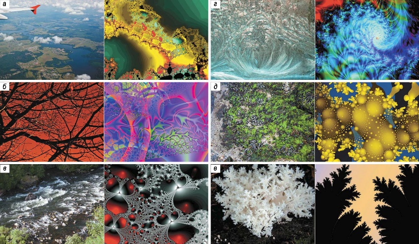 Единство во всём