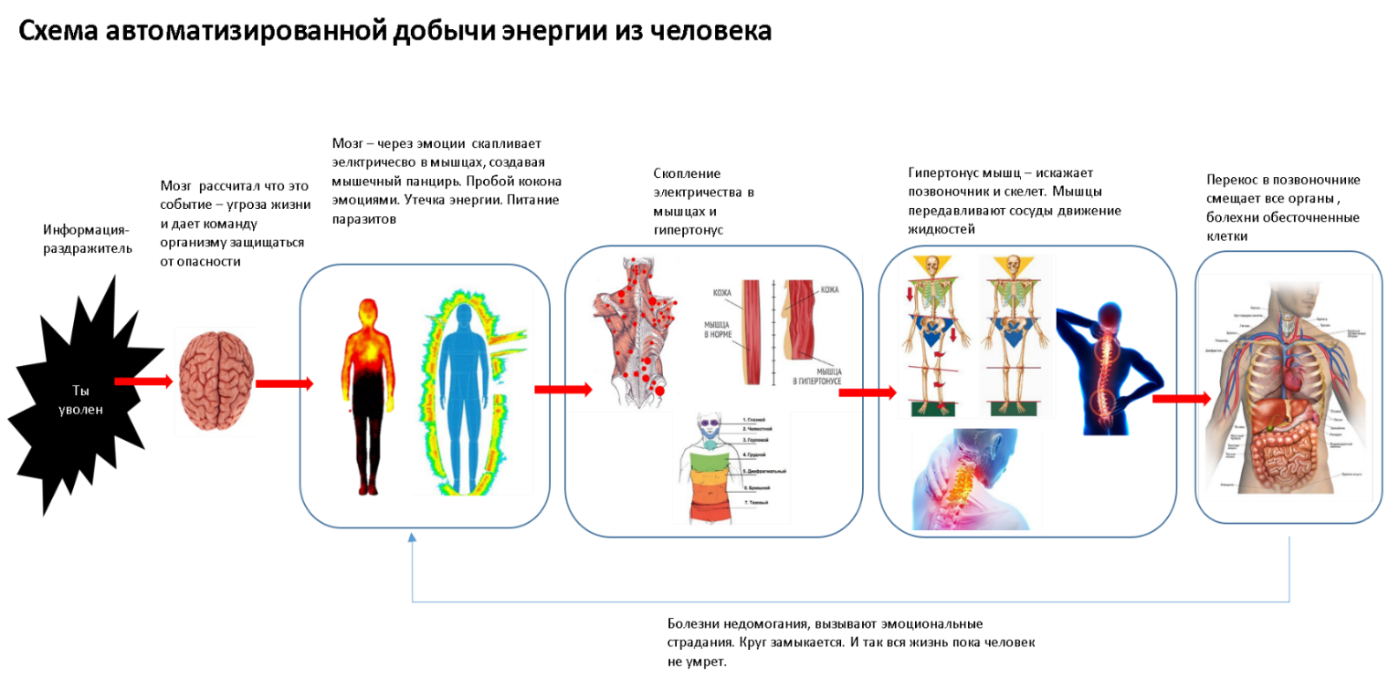 Схема автоматизированной добычи энергии из человека