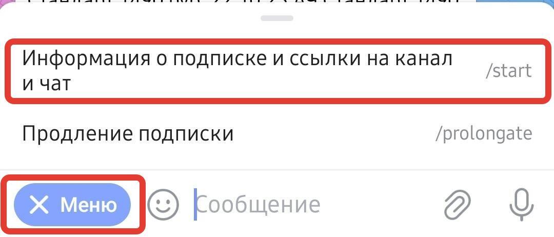 Информация о подписке в боте