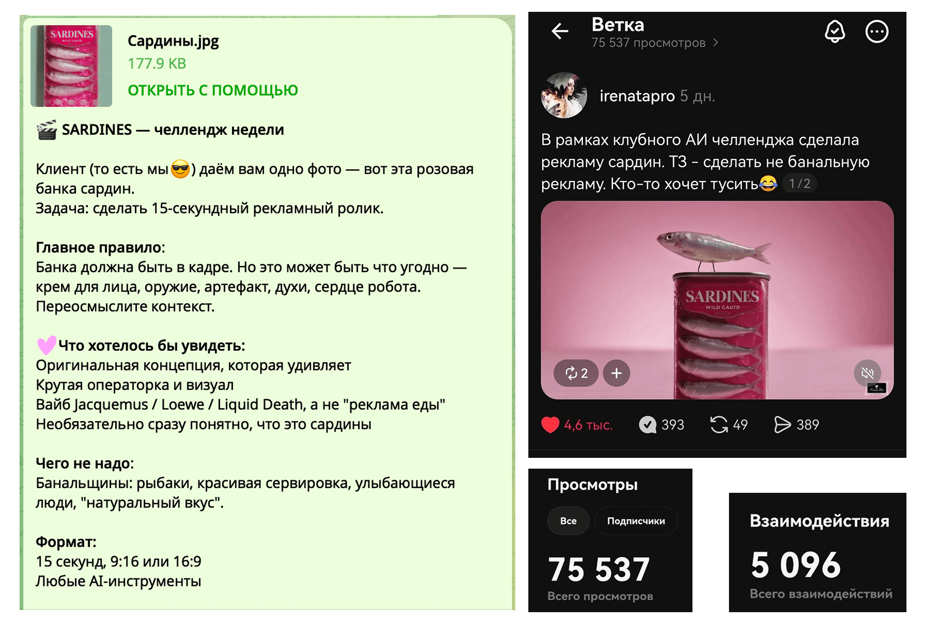 Скриншот: ТЗ челленджа, работа Ирины и статистика просмотров